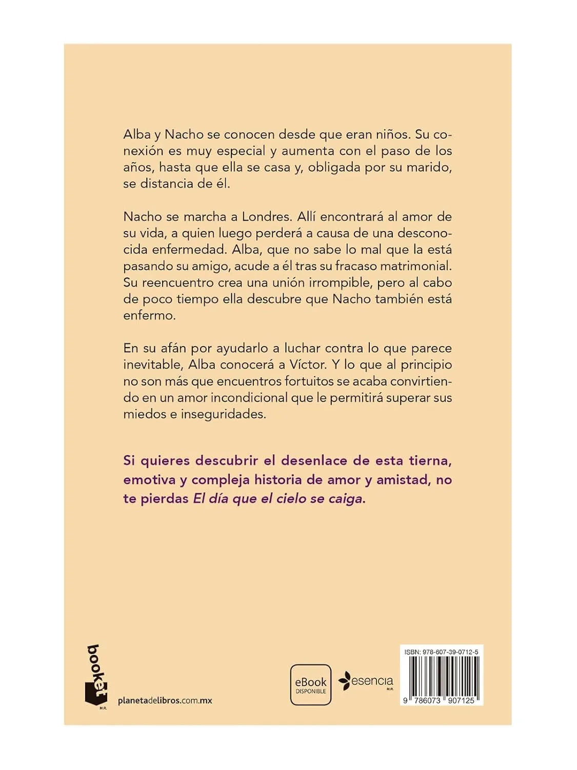 El día que el cielo se caiga / The Day When the Sky Falls (Spanish Edition) Paperback