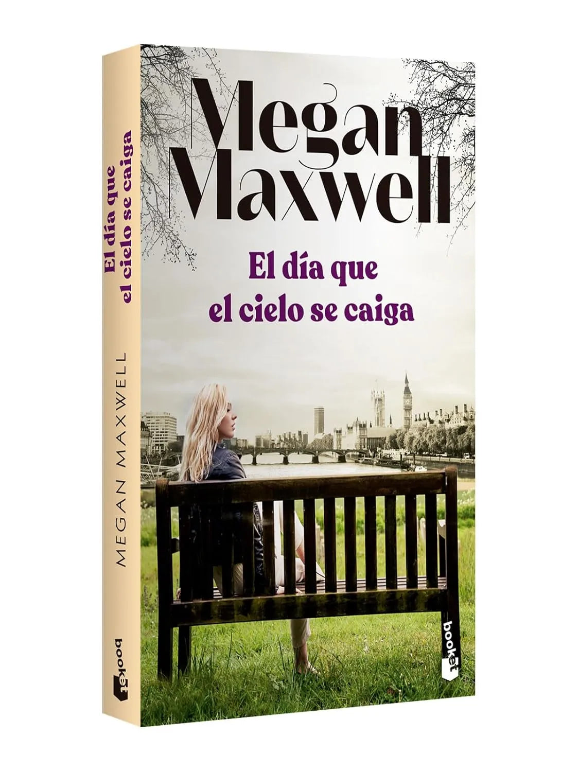 El día que el cielo se caiga / The Day When the Sky Falls (Spanish Edition) Paperback