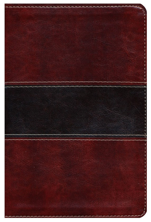 Biblia del Pescado RVR 1960, letra grande, caoba simil piel (RVR 1960 Fisher of Men Lge. Print Bible, Mahogany I.Leather)