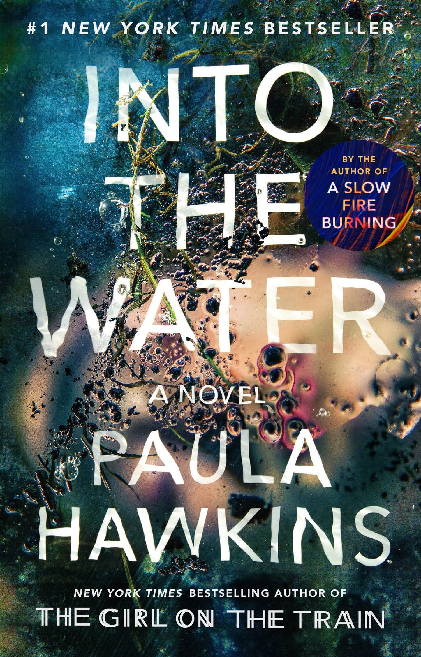 Into the Water: A Novel