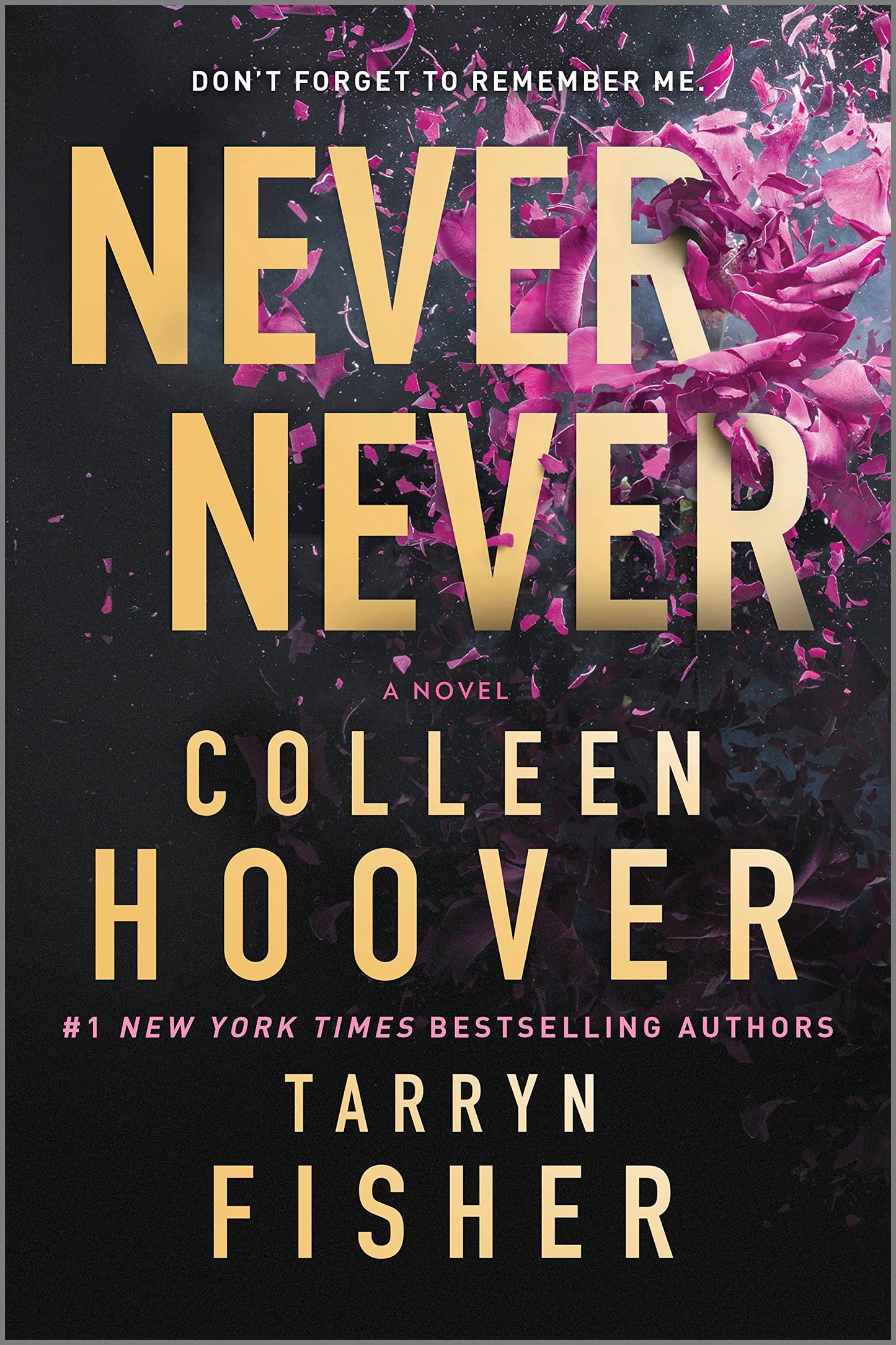 Never Never: A Romantic Suspense Novel of Love and Fate (Paperback)