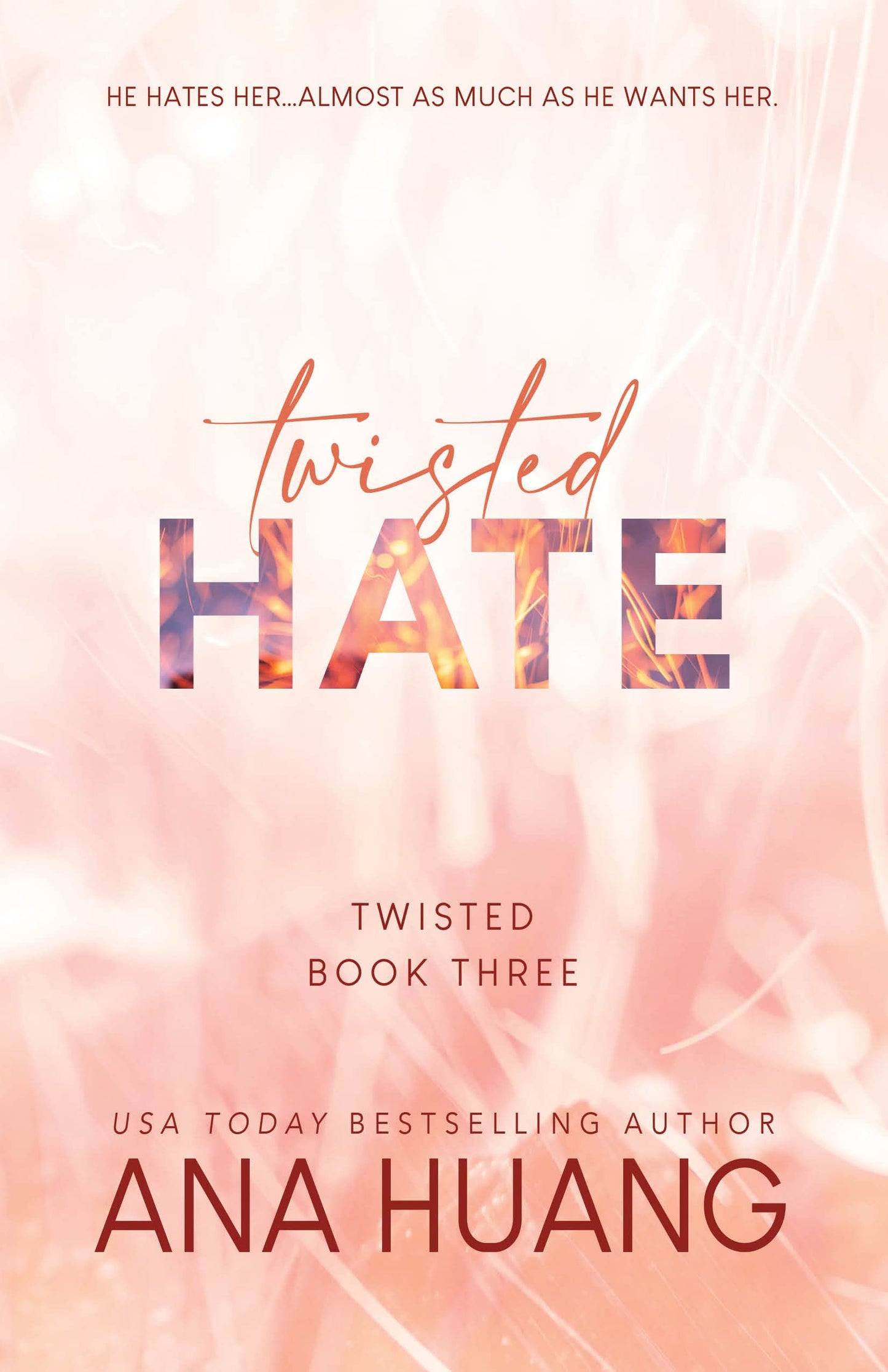 Twisted Hate (Twisted, 3) Paperback